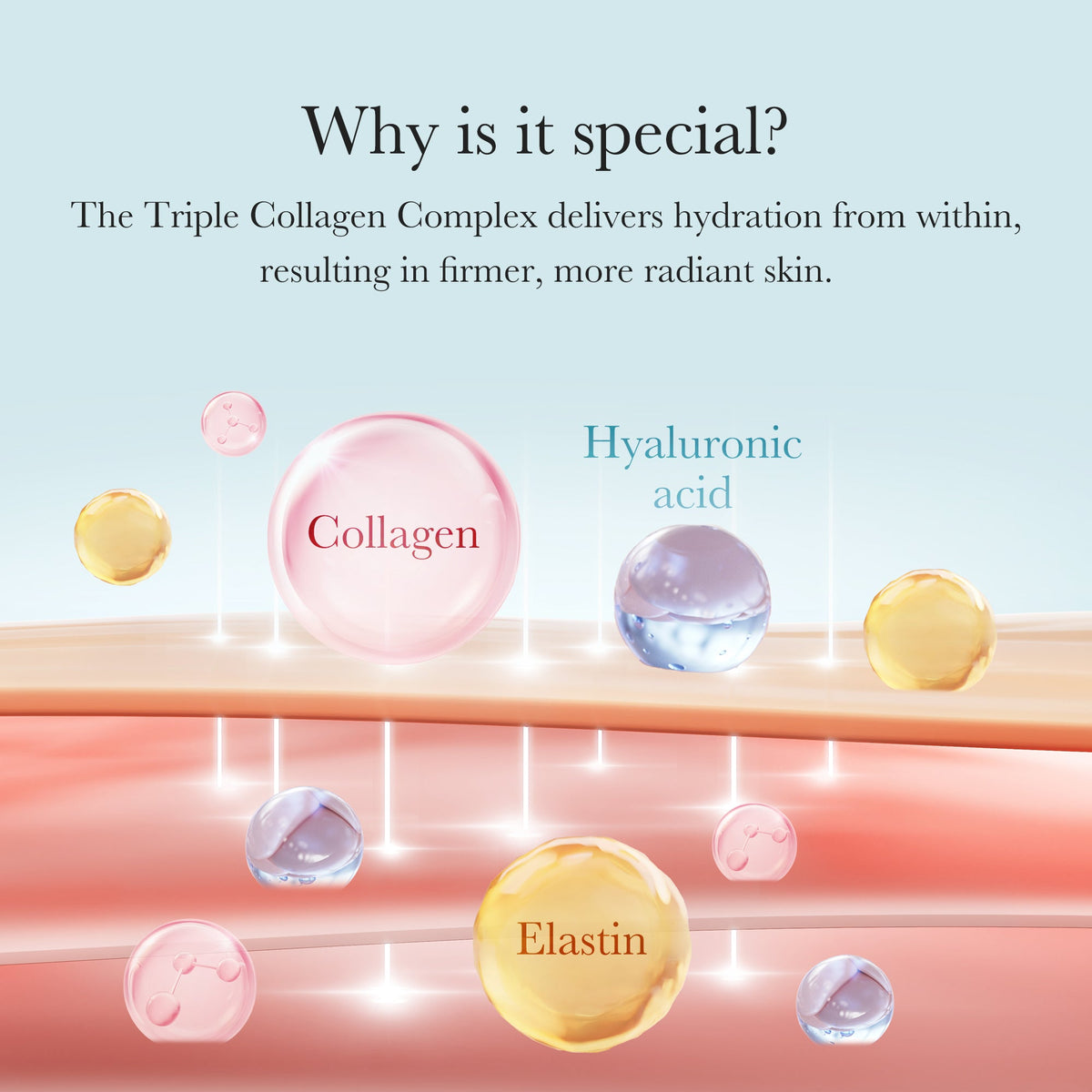 triple-collagen-cream-z0 04_8e4e330d-7d9c-4ff0-93ec-ea541093220c.jpg